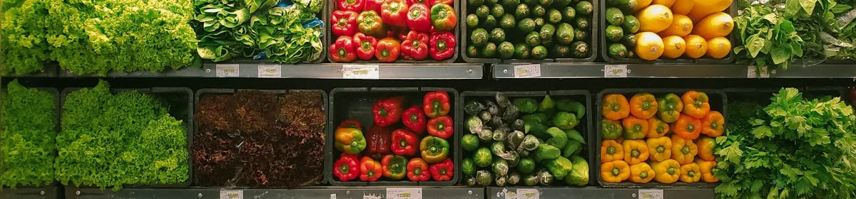 Supermarket shopping in Darmstadt — guide for international students