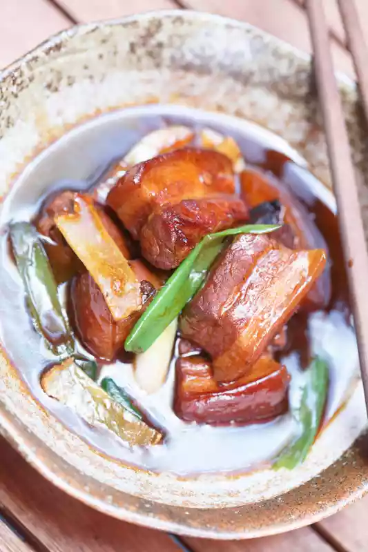 Hong Shao Rou close-up