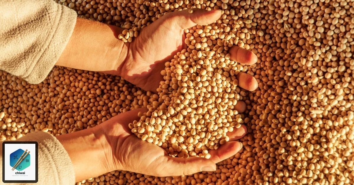 Soja-Allergen: Versteckte Quellen in der Gastronomie