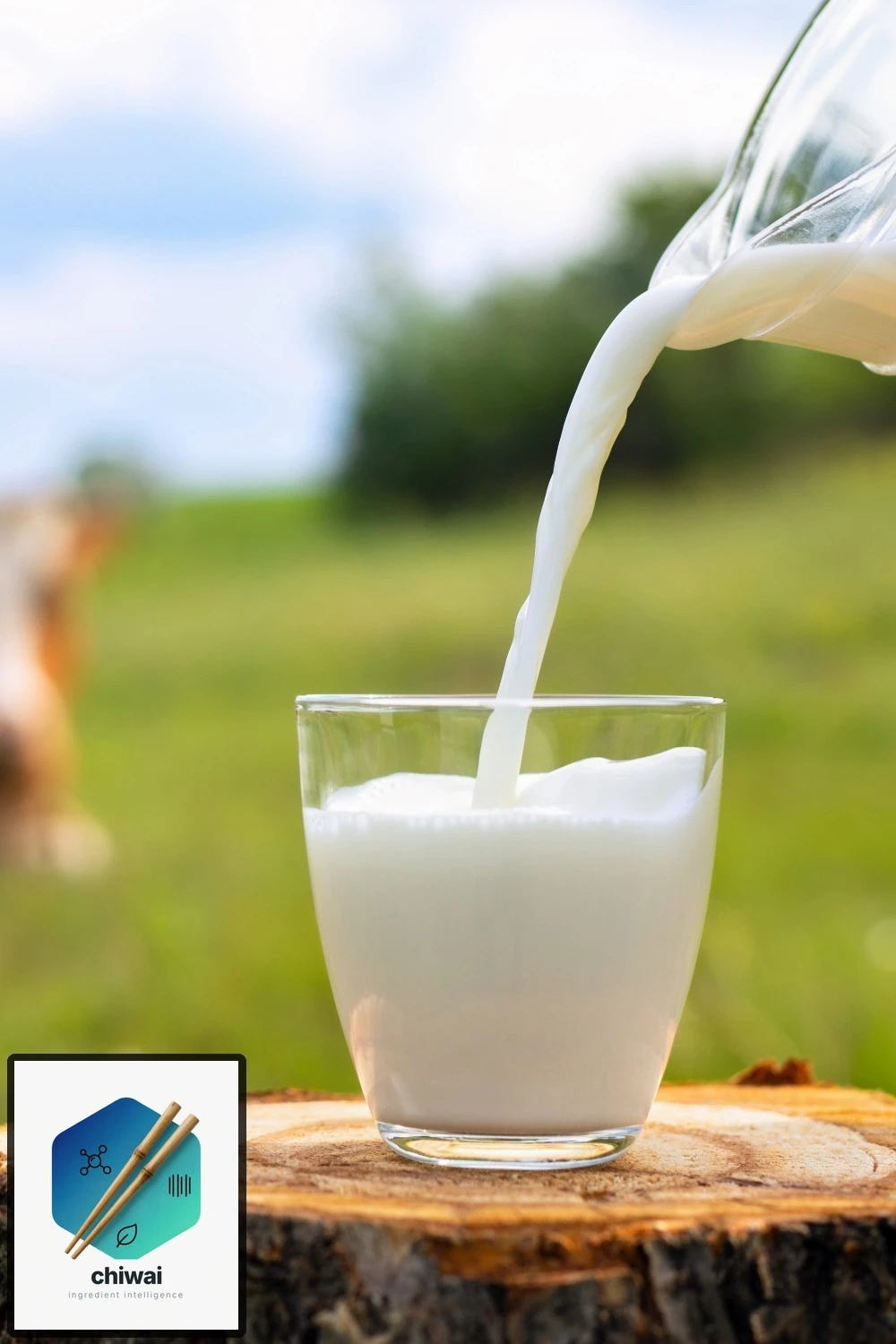 Milch & Laktose Allergen: Kennzeichnung & Alternativen — Detailbild
